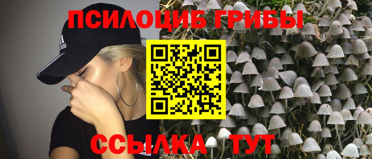 Галлюциногенные грибы мицелий  Галлюциногенные грибы Psilocybe  Вход с VPN  Ногинск 